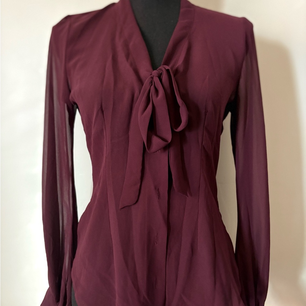 Stylish Burgundy Blouse